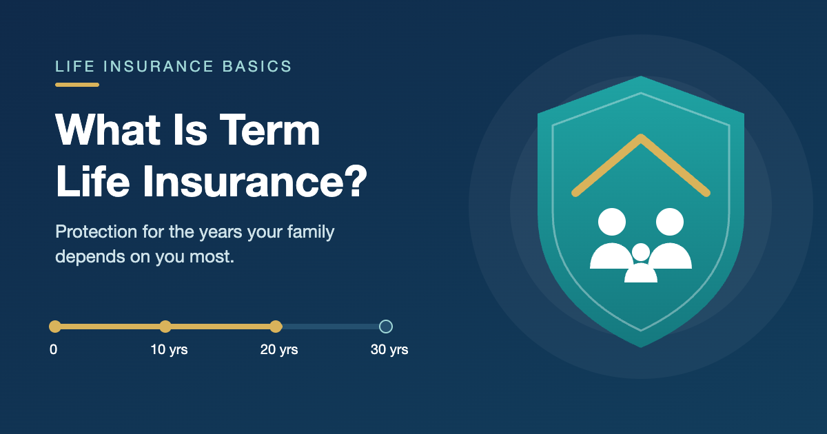 What Is Term Life Insurance?