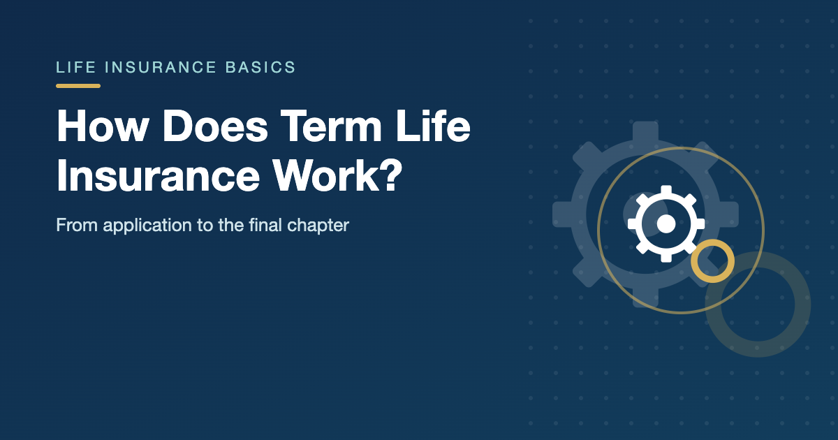 Gears icon on a cover graphic explaining how term life insurance works, step by step
